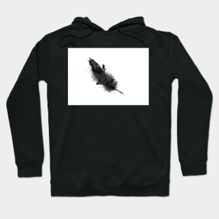 Raven - Feather Hoodie